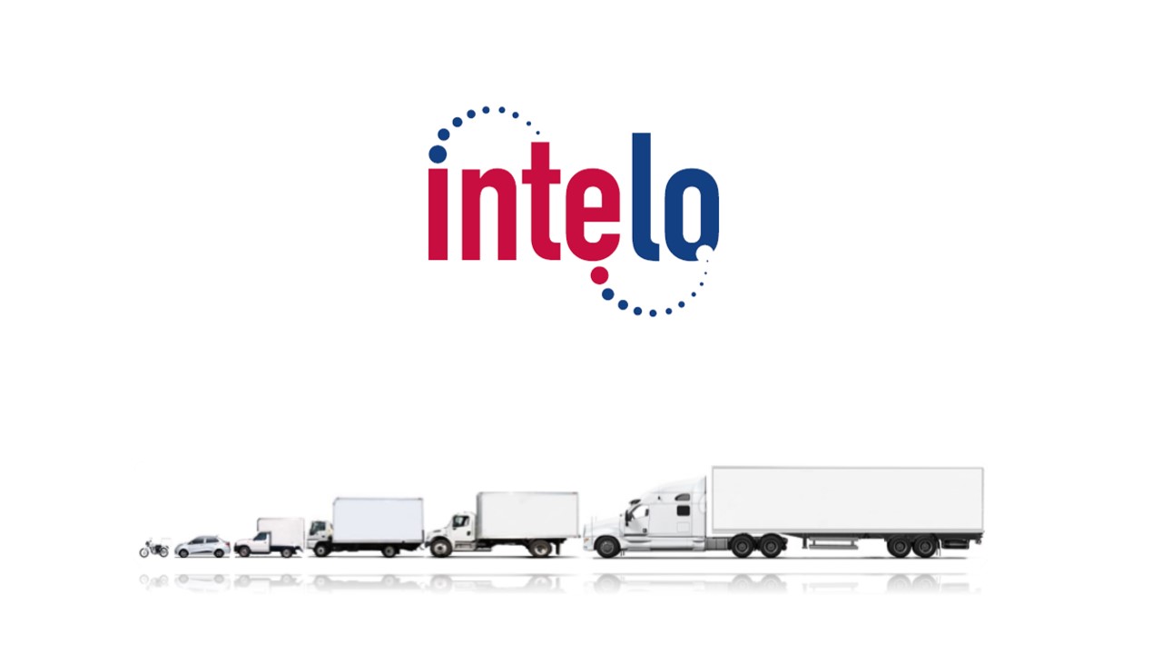 servicios intelo